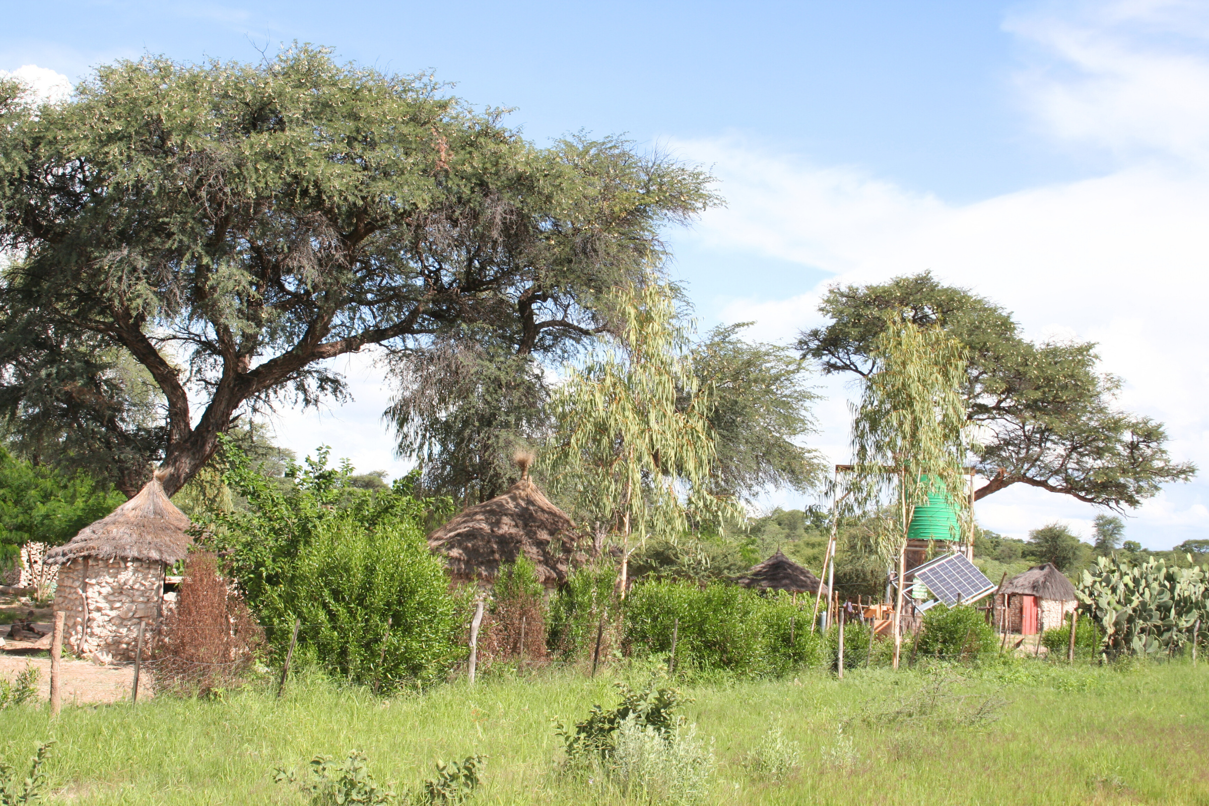 11_Rundu[1].webp